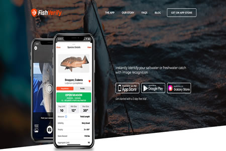 Fish Verify